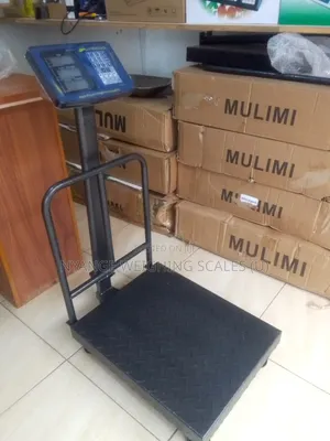 Platform Weigh Scale 300kg Weigh Accurate Weighing Scale