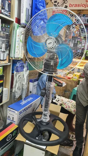 Changli Crown 18 Inch Fan Original