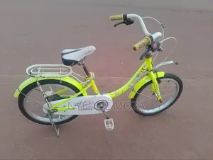 Happy 18 Kids Bike