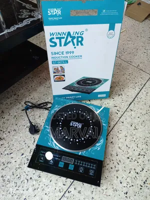 Winning Star St-9674-L Infrared Induction Electric Cooker.