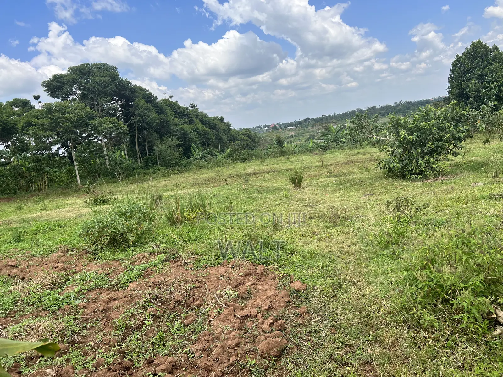 Mukono Kalagi