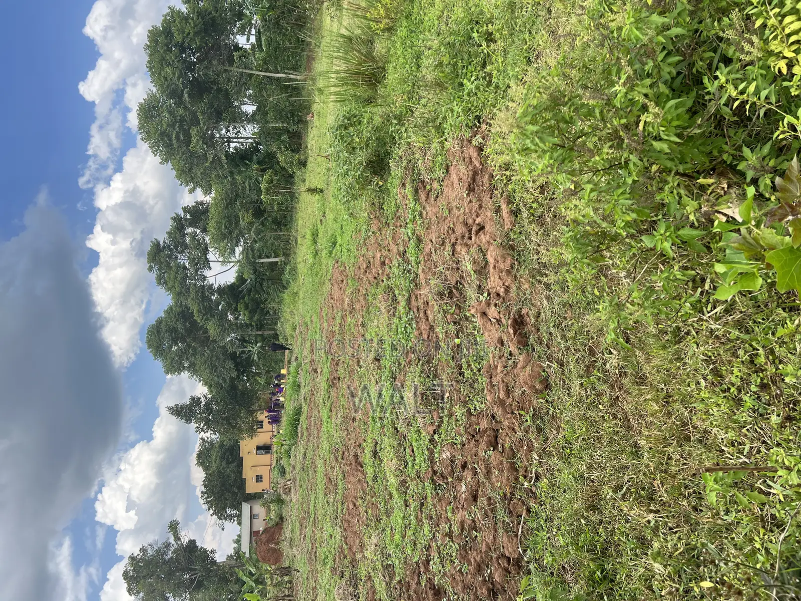 Mukono Kalagi