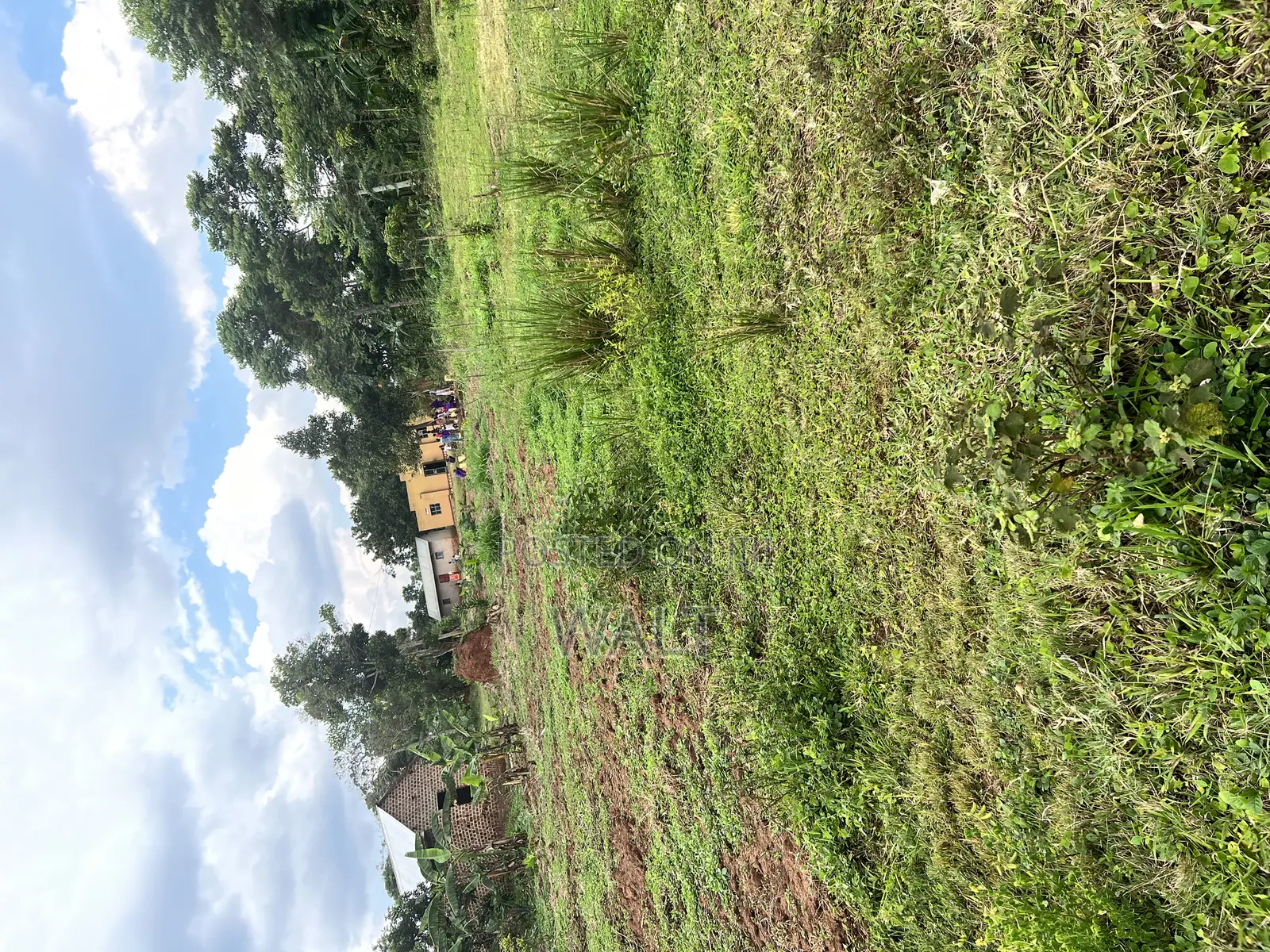 Mukono Kalagi
