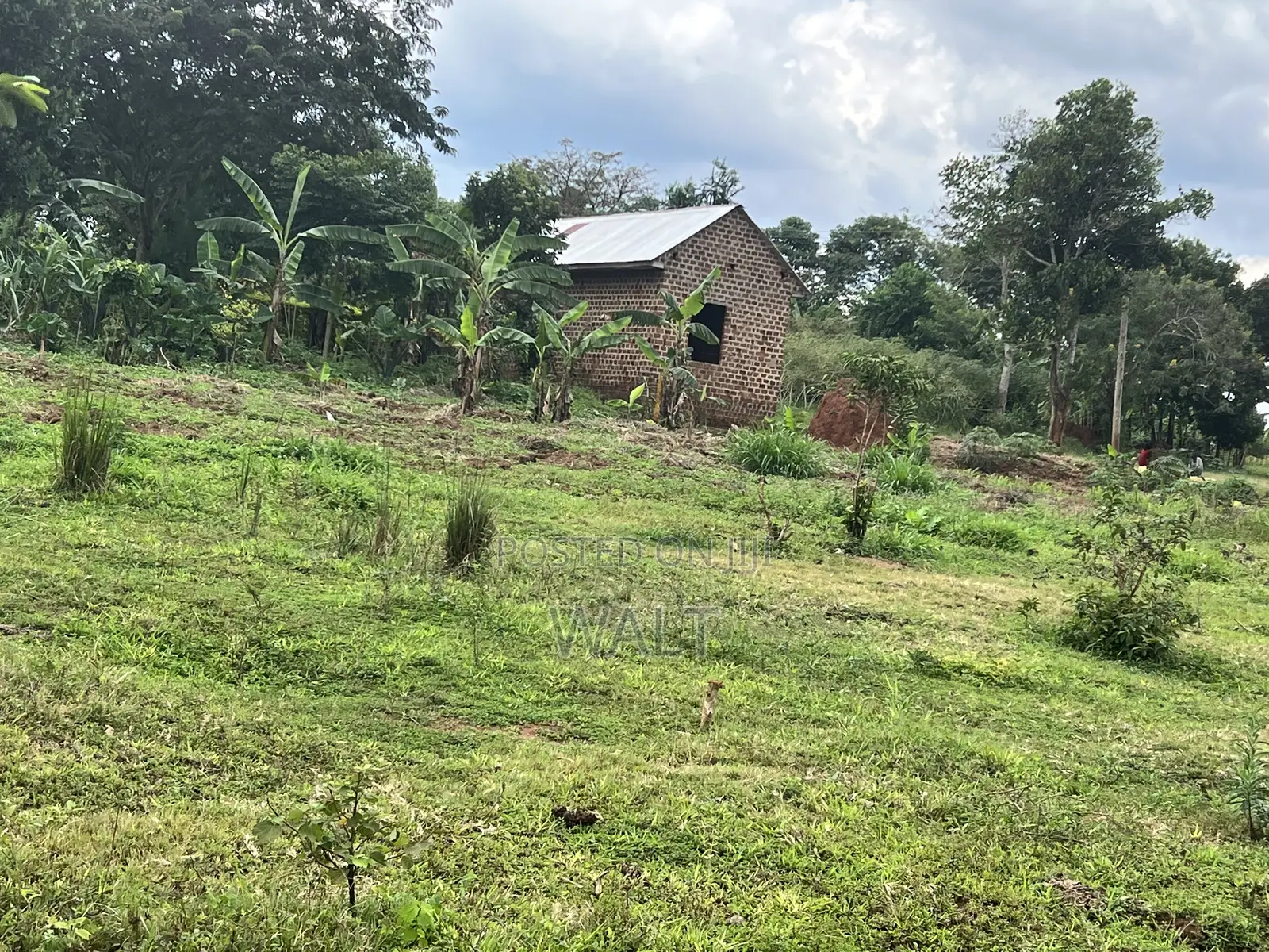 Mukono Kalagi
