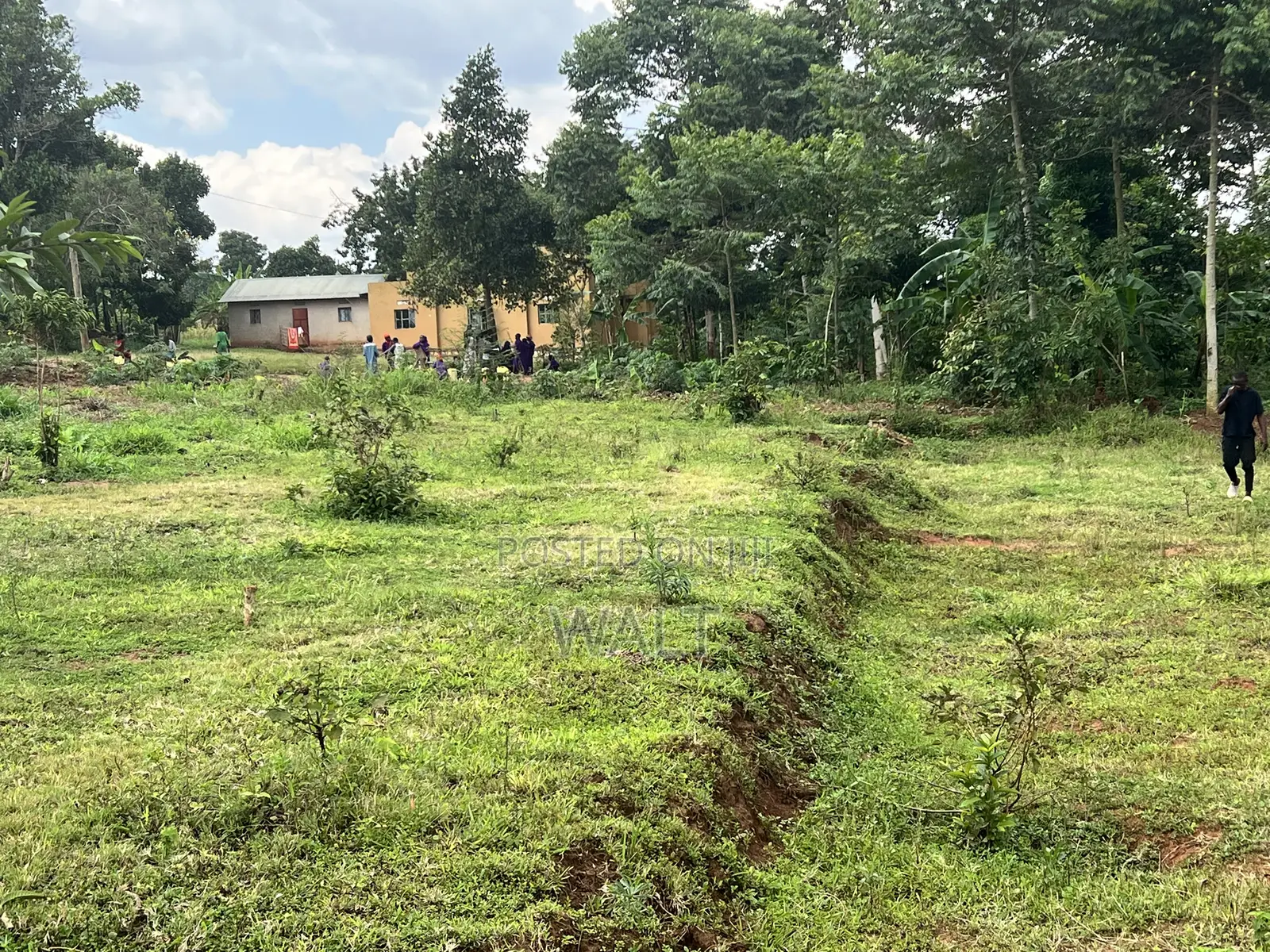 Mukono Kalagi
