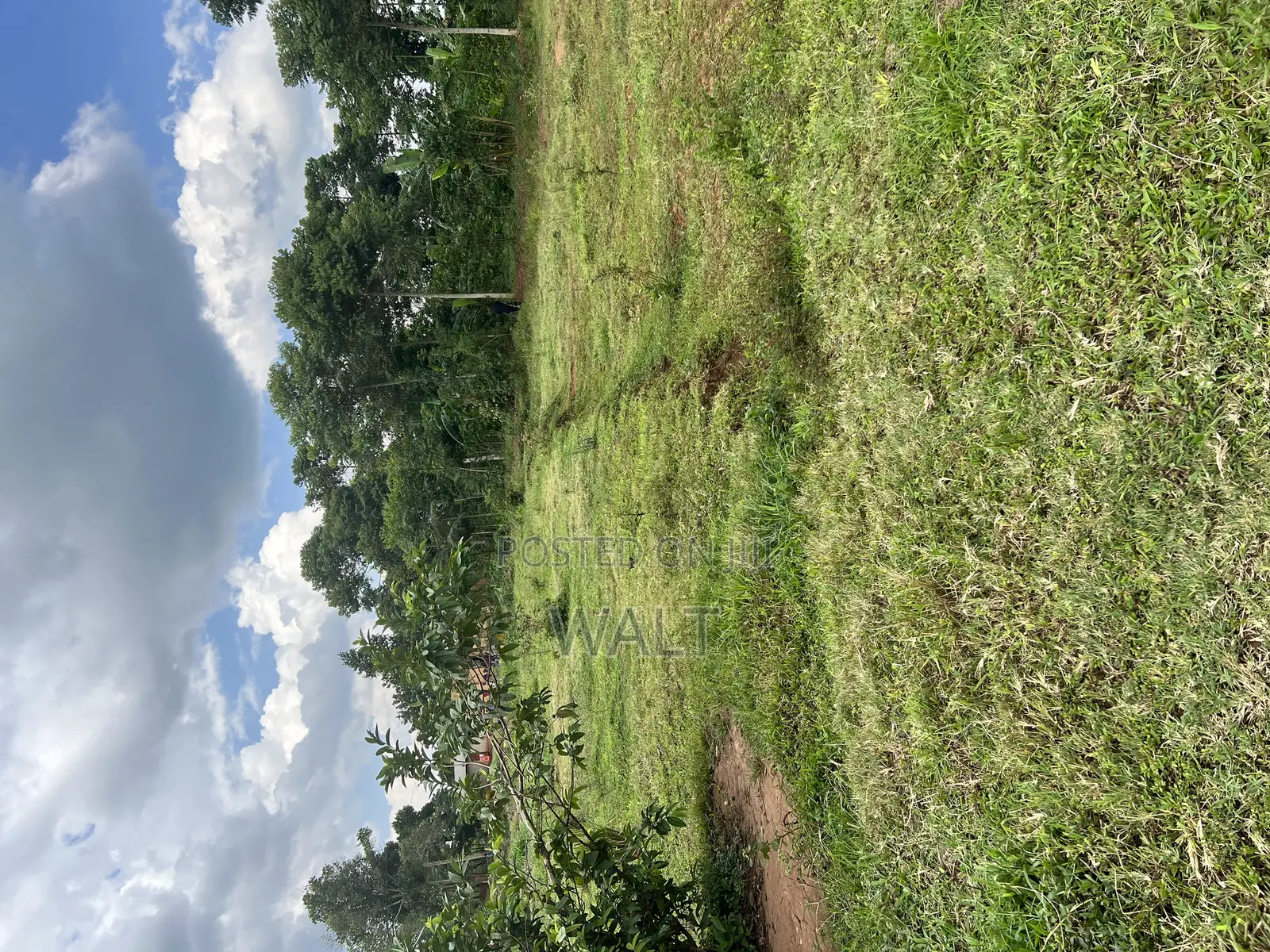 Mukono Kalagi