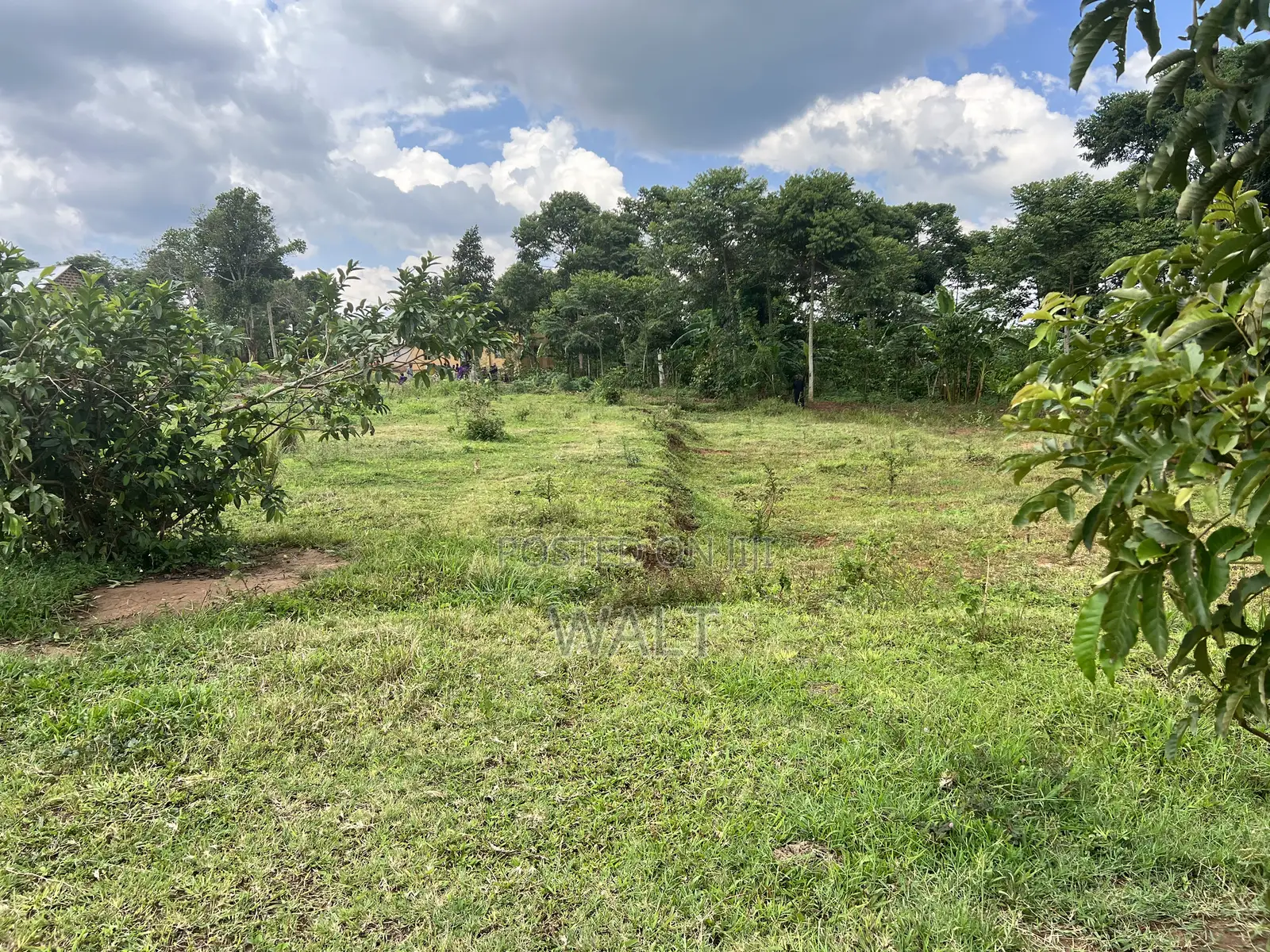 Mukono Kalagi