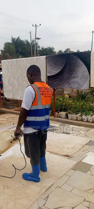 Expert Carpet Cleaning Services Discover the Joy of Clean Carpets
