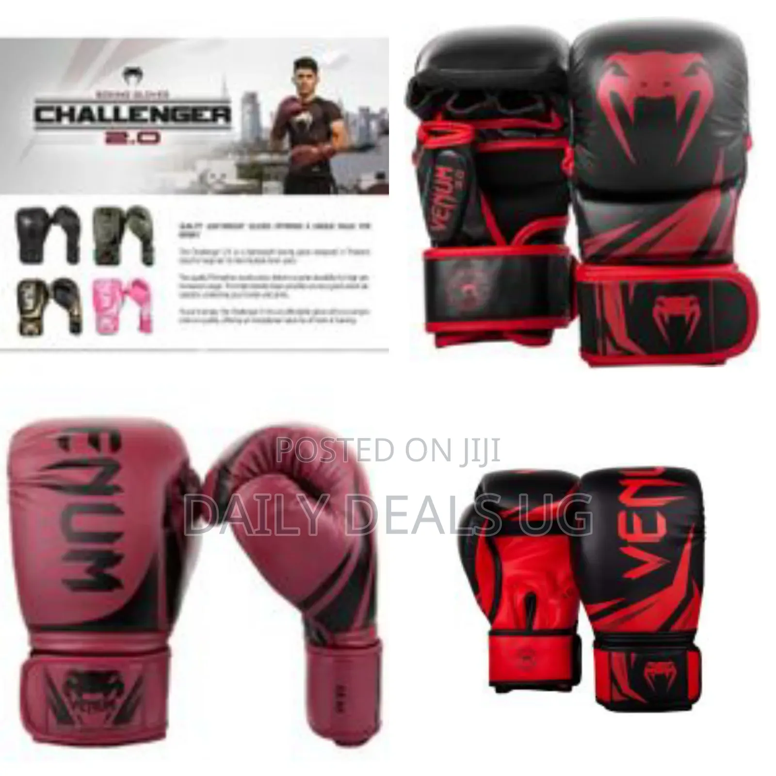 VENUM Elite Boxe - Scarpe Unisex-Adulto, Progettate Con Campioni Di Boxe, Suola In Gomma, Taglio Medio
