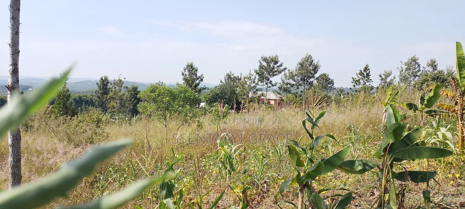 6 Acre Land With Tittle at Kibibi 25m Negotiable With a House
