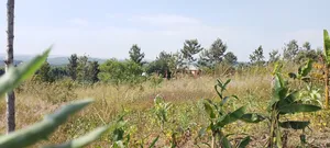 6 Acre Land With Tittle at Kibibi 25m Negotiable With a House