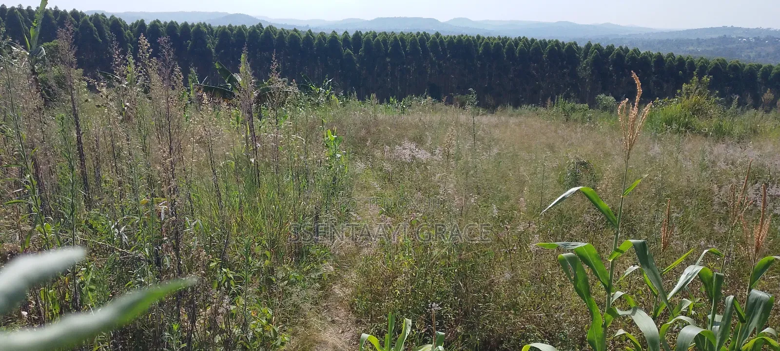 6 Acre Land With Tittle at Kibibi 25m Negotiable With a House