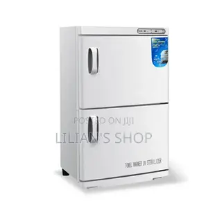 Electric Dual-Cabinet Hot Towel Warmer