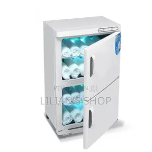Electric Dual-Cabinet Hot Towel Warmer
