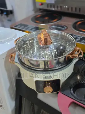 Boma Multifunctional Electric Food Steamer