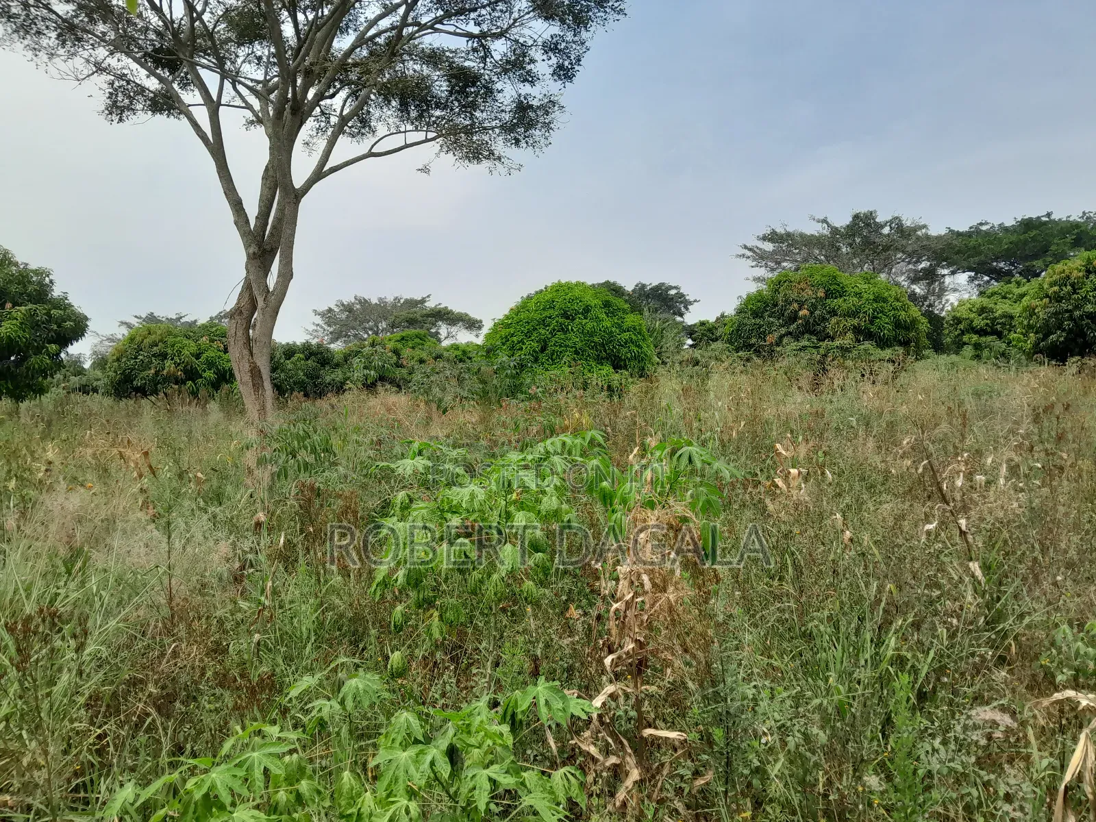 Plot for Sale 50x100 in Lwemedde, Masulita, Wakiso District