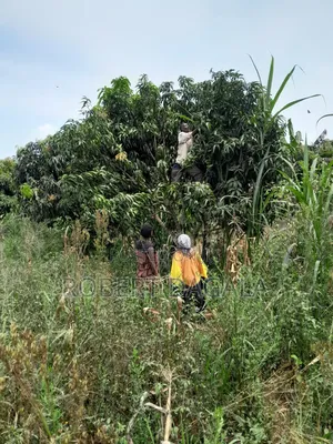 Plot for Sale 50x100 in Lwemedde, Masulita, Wakiso District