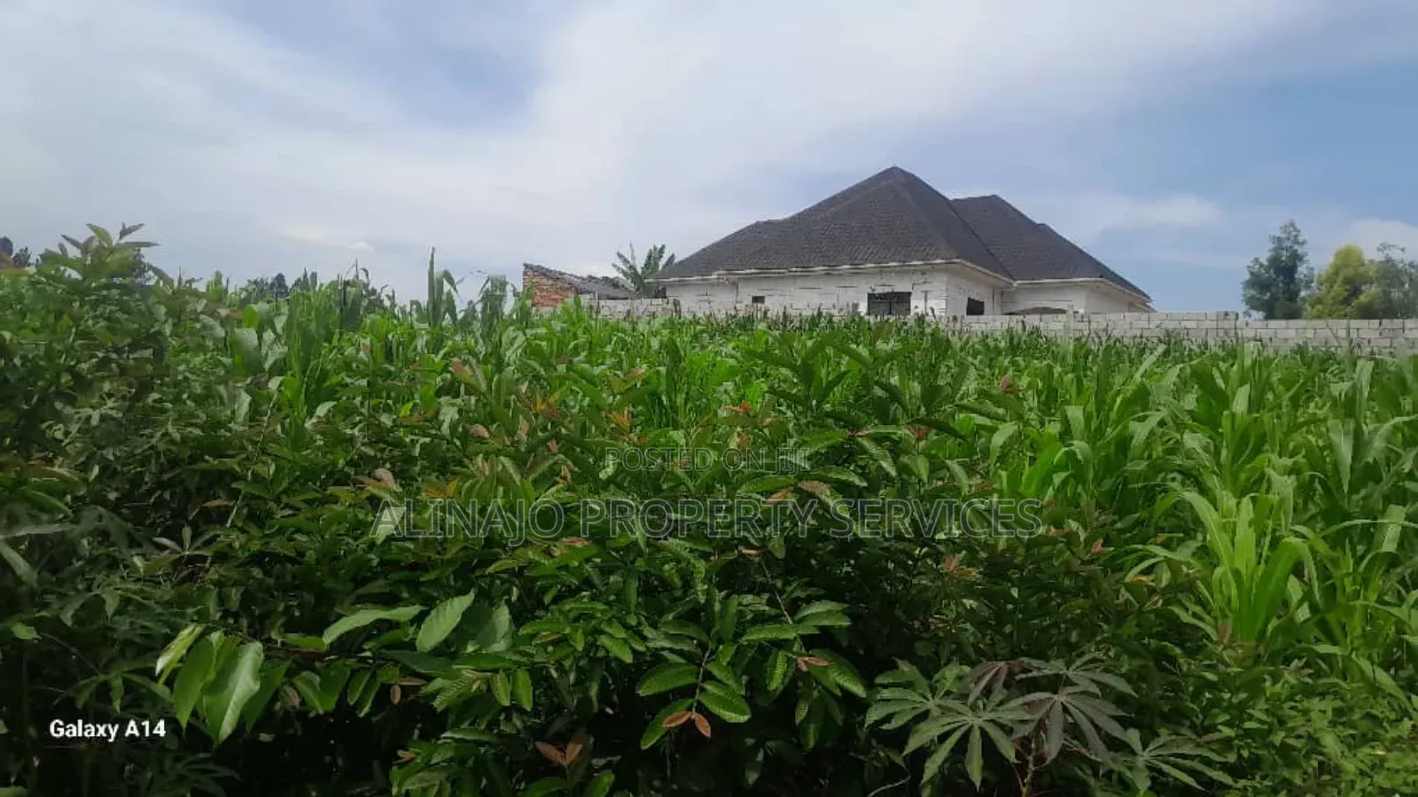 2 Plots on Sale Mukono Mpoma Canan Estate 80m Each