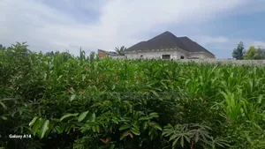 2 Plots on Sale Mukono Mpoma Canan Estate 80m Each