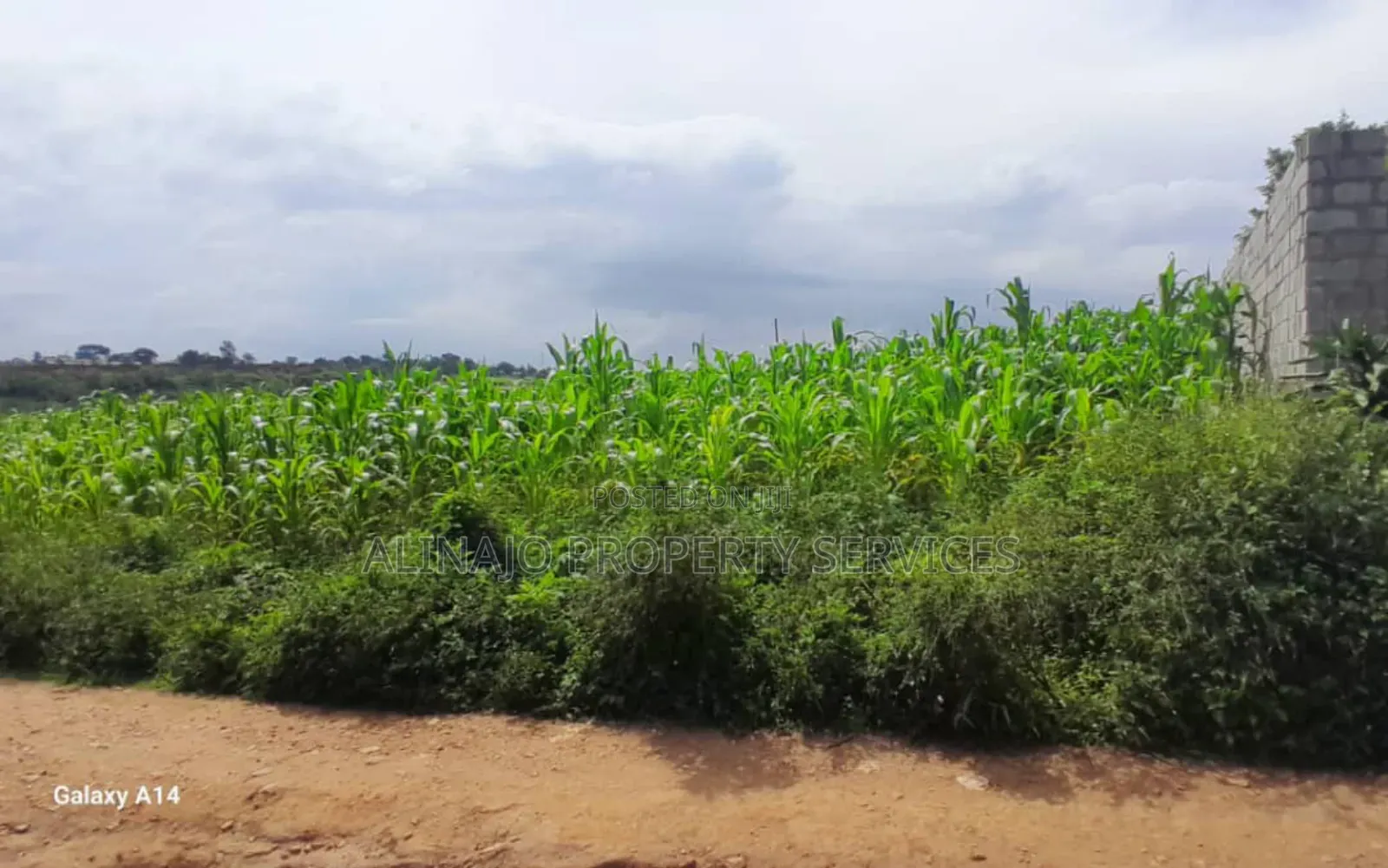 2 Plots on Sale Mukono Mpoma Canan Estate 80m Each