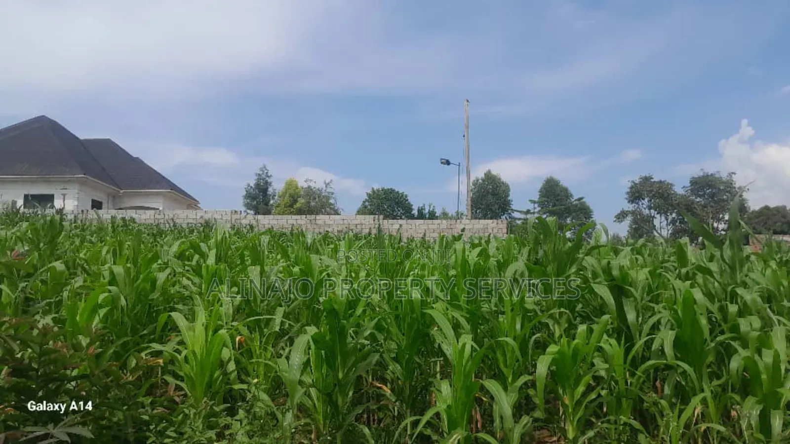 2 Plots on Sale Mukono Mpoma Canan Estate 80m Each