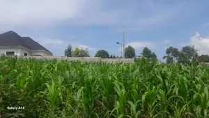 2 Plots on Sale Mukono Mpoma Canan Estate 80m Each