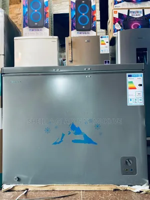 Chest Freezer 310 Litres