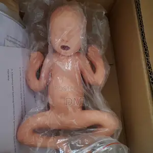 Nursing or Premature Baby Manikin