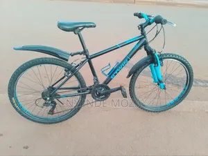B-Twine Size 24 Original Bike