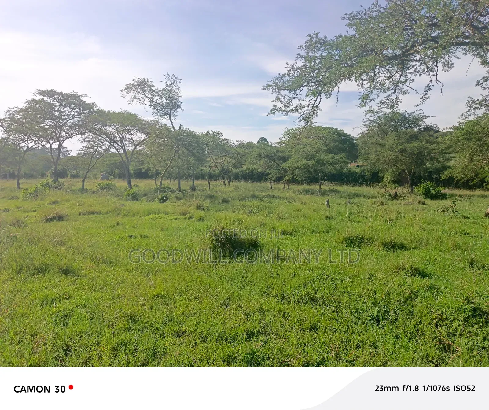378 Acres Of Land In Sembabule (30 Acres Are Coffee Plantation)