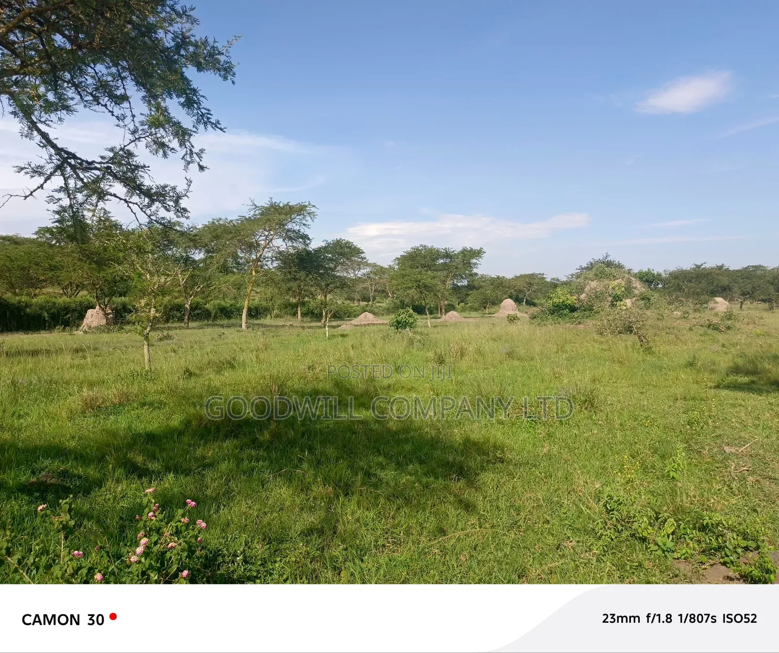 378 Acres Of Land In Sembabule (30 Acres Are Coffee Plantation)
