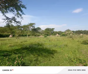 378 Acres Of Land In Sembabule (30 Acres Are Coffee Plantation)