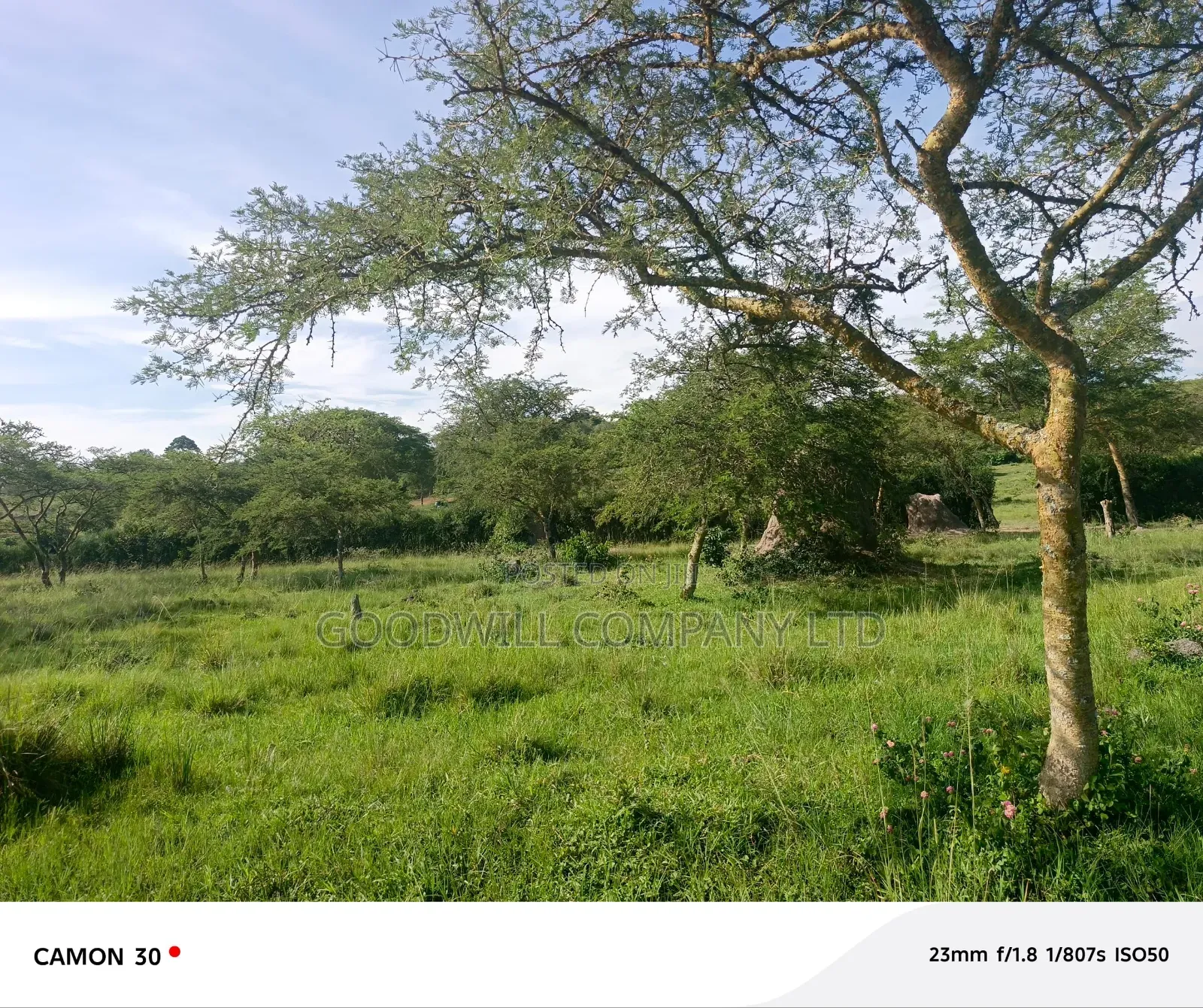 378 Acres Of Land In Sembabule (30 Acres Are Coffee Plantation)