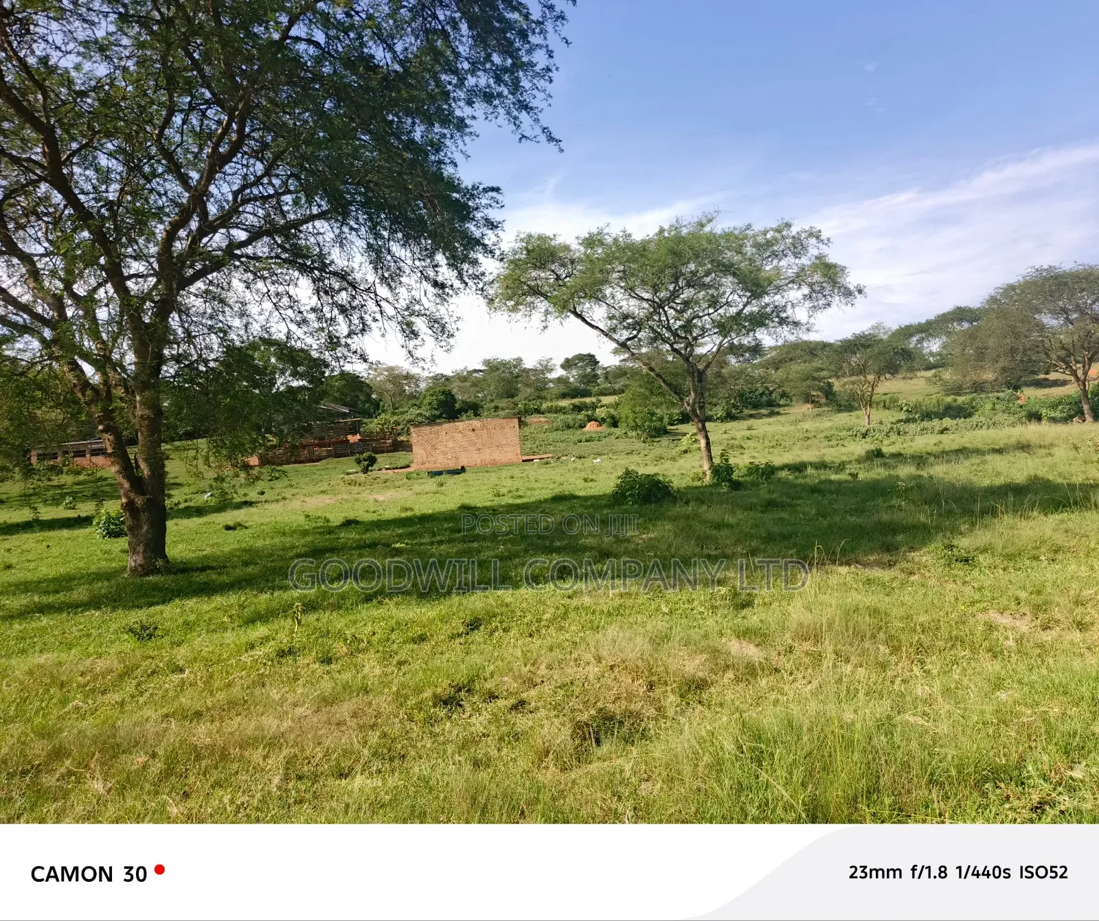 378 Acres Of Land In Sembabule (30 Acres Are Coffee Plantation)
