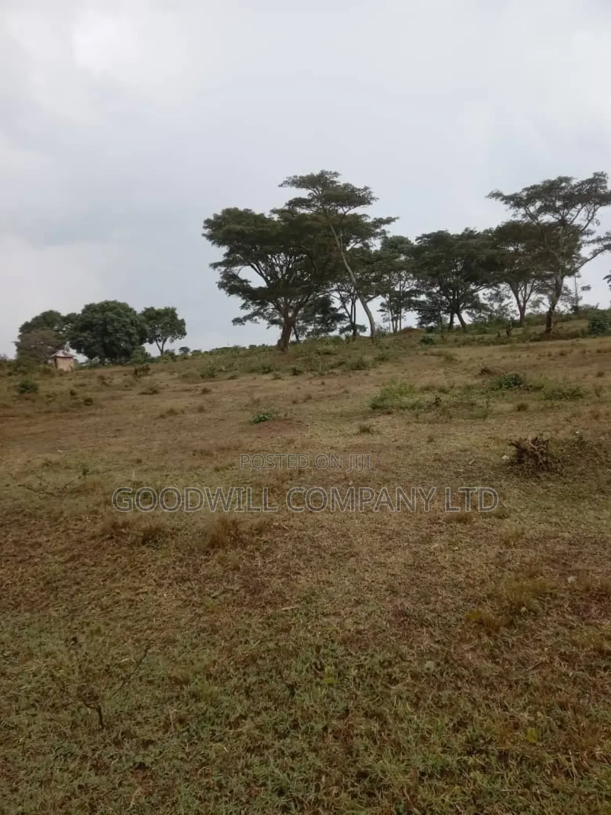 100 Acres of Land in Kalungu District Before Masaka