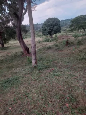 100 Acres of Land in Kalungu District Before Masaka