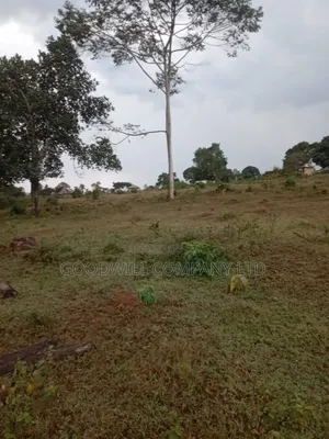 100 Acres of Land in Kalungu District Before Masaka