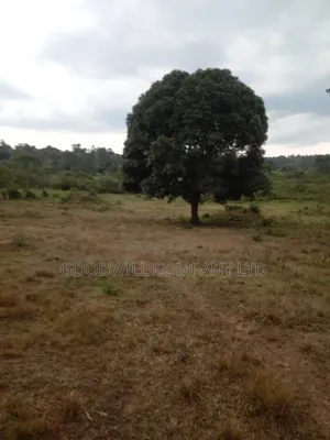 100 Acres of Land in Kalungu District Before Masaka