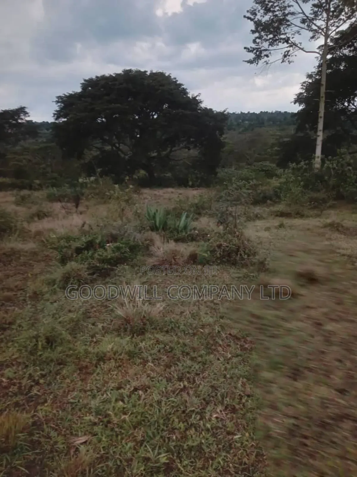 100 Acres of Land in Kalungu District Before Masaka