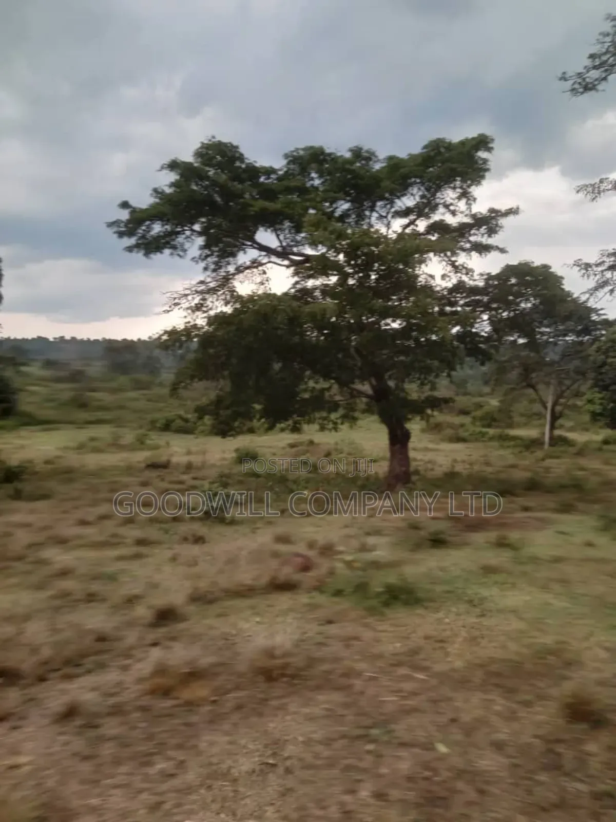 100 Acres of Land in Kalungu District Before Masaka