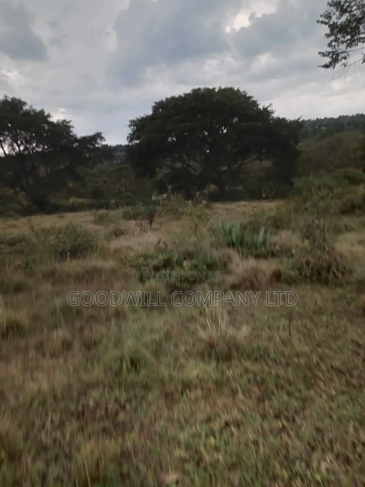 100 Acres of Land in Kalungu District Before Masaka