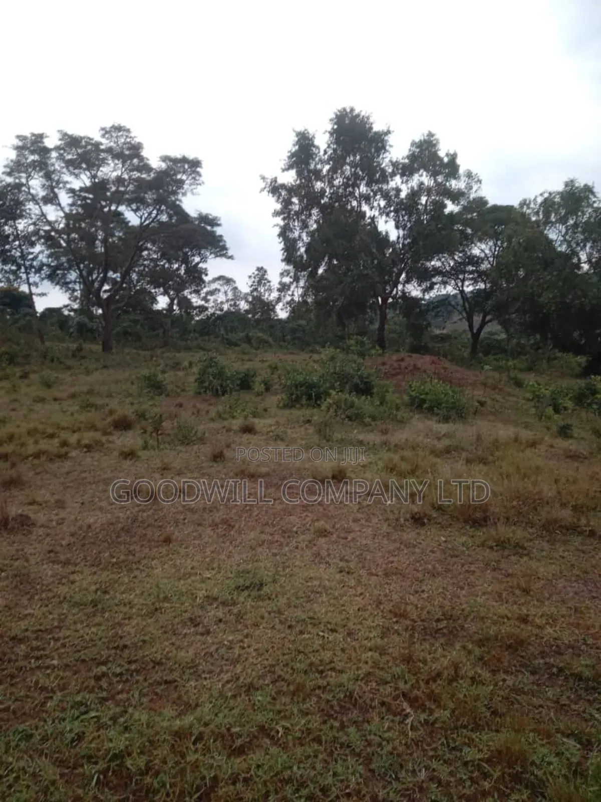 100 Acres of Land in Kalungu District Before Masaka