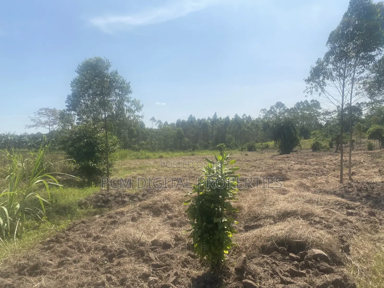 Indusria Land for Sale in Mukono
