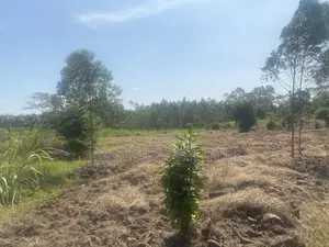 Indusria Land for Sale in Mukono