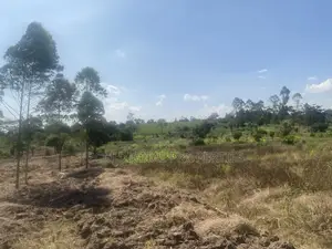 Indusria Land for Sale in Mukono