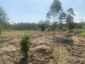 Indusria Land for Sale in Mukono