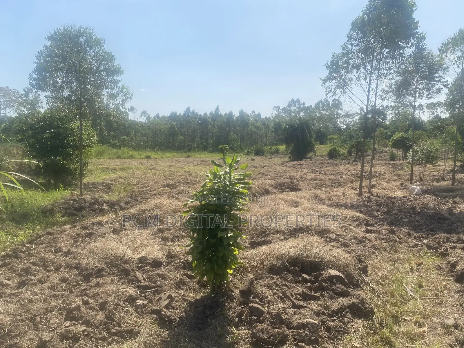 Indusria Land for Sale in Mukono