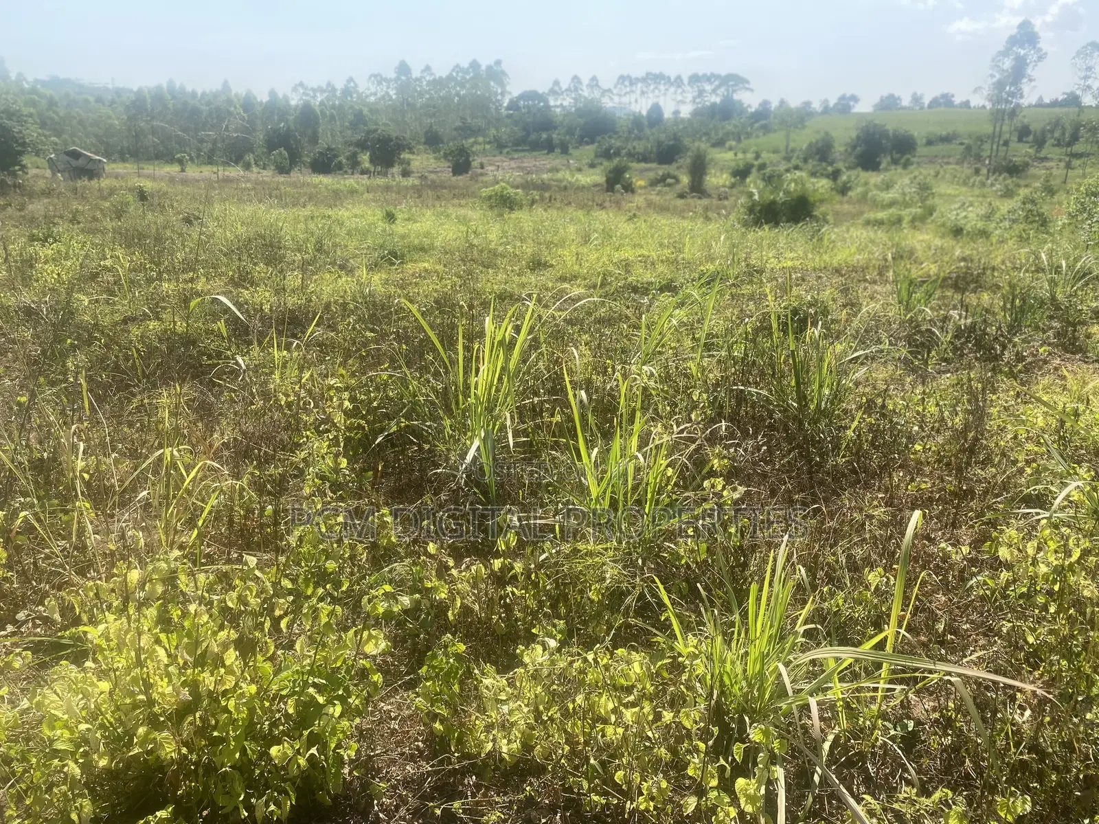 Indusria Land for Sale in Mukono