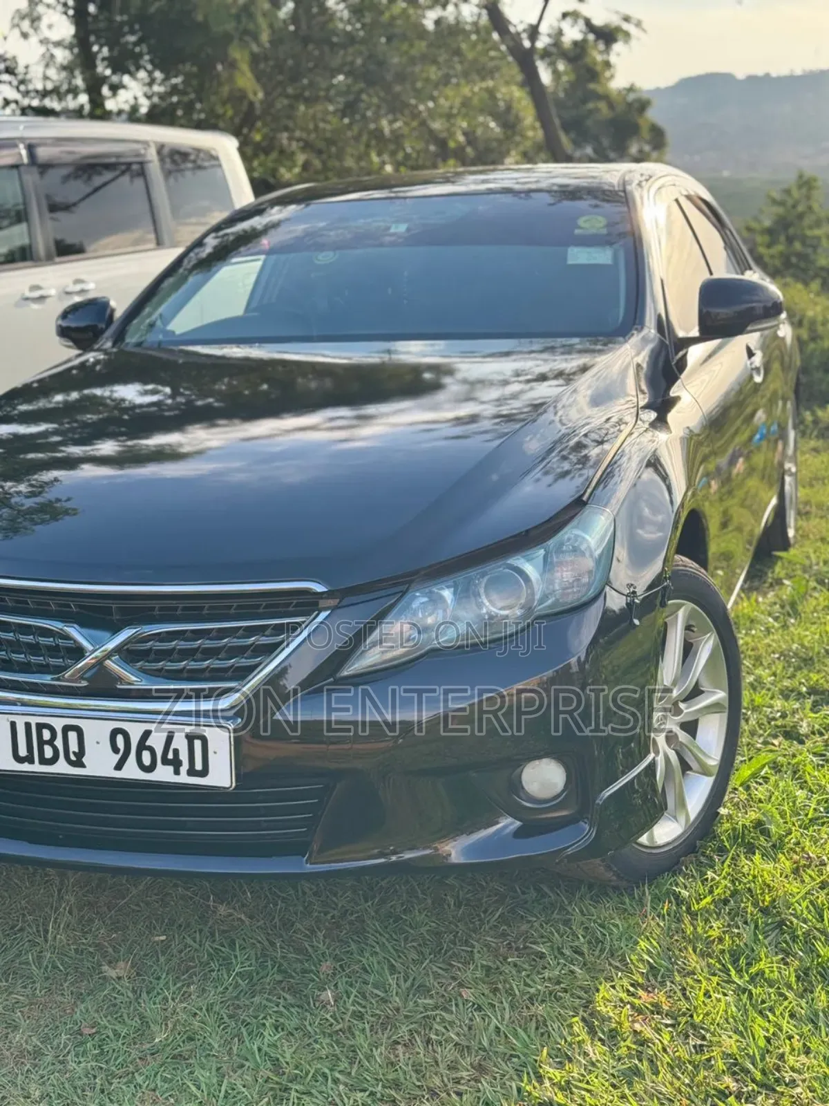 Toyota Mark X 2010 Black