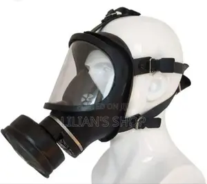 Gaoma Full-face Respirator Gas Mask.
